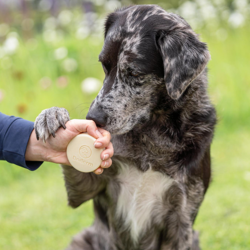 Doderm Alpaga Shampoing en barre pour animaux de compagnie